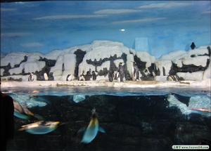 老虎灘極地海洋動物館