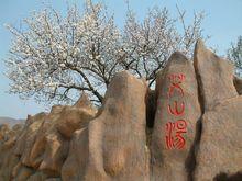 膠州艾山風景區