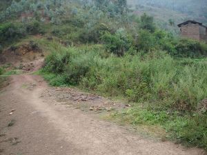 阿家山村 阿家山村