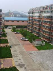 金田苑小區三期 金田苑小區三期