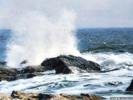 無風不起浪 無風不起浪