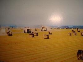 雨露麻油畫布 雨露麻油畫布