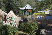 人民鑑賞家：楊仁凱