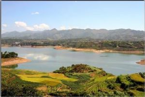 遂昌國家森林公園 遂昌國家森林公園