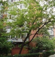 知春路47號院 知春路47號院