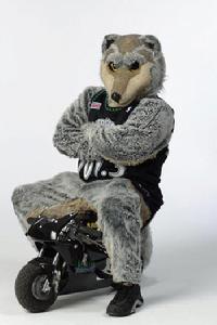 森林狼吉祥物：酷狼奇 Crunch