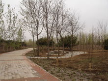 百花郊野公園 百花郊野公園