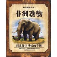 非洲動物 非洲動物