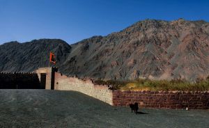 薩爾勒克達坂遺址