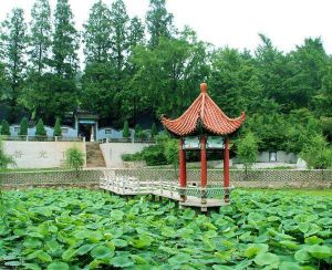 江淮嶺生態園 江淮嶺生態園
