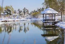 中國濟寧太白湖冬景