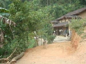 學校隊自然村 學校隊自然村