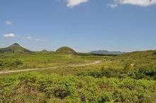 百里杜鵑大草原風光