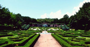 濟州觀光植物園 濟州觀光植物園