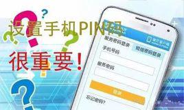 pin[代碼識別碼]