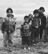 弱勢群體 弱勢群體