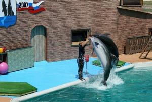 索契海豚館
