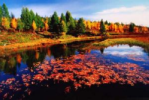 科爾沁右翼前旗