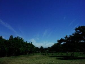 烏蘇盧坦 烏蘇盧坦