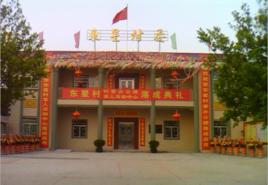 東星村[廣東省揭西縣河婆鎮東星村]