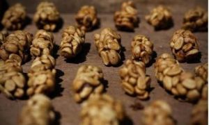 麝貓咖啡 麝貓咖啡