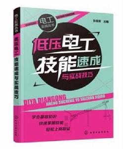 低壓電工技能速成與實戰技巧 低壓電工技能速成與實戰技巧