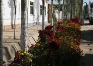 愉群翁村 愉群翁村