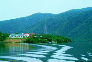 滿天星森林公園