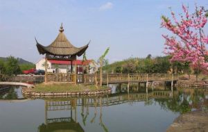 王鶴農莊 王鶴農莊