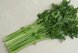 小芹菜 小芹菜
