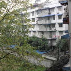 新運處宿舍 新運處宿舍