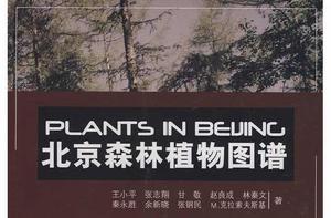 北京森林植物圖譜 北京森林植物圖譜
