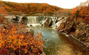 黑龍江涼水自然保護區風景旅遊區 黑龍江涼水自然保護區風景旅遊區
