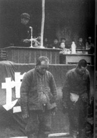 《新鐵金剛之明日帝國》 《新鐵金剛之明日帝國》