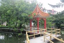 花都區大塘中學庭院