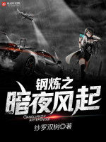 鋼煉之暗夜風起 鋼煉之暗夜風起
