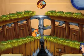 母雞下蛋 母雞下蛋