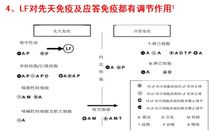 乳鐵蛋白對先天免疫應答免疫有調節作用