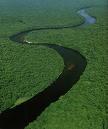 剛果河的熱帶雨林