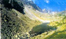 成土過程 成土過程