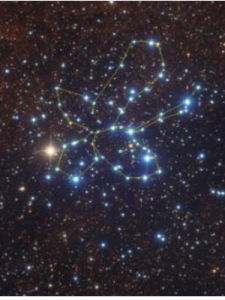 蝴蝶星團 蝴蝶星團