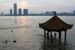 2007年8月5日 2007年8月5日