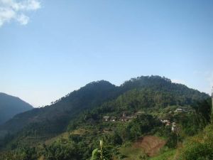 冬瓜林村 冬瓜林村