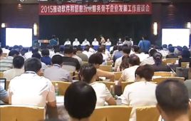 軟體與信息技術服務業 軟體與信息技術服務業