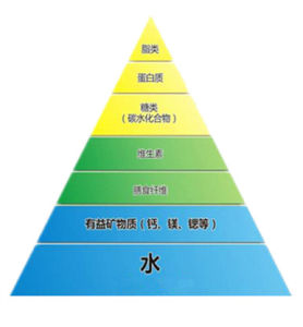 營養[生物所需養料]