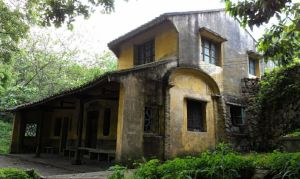 茅竹嶺古道 茅竹嶺古道