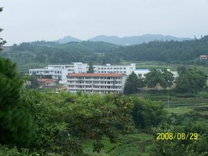 回山中學 回山中學