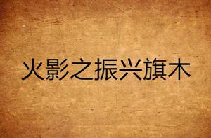 火影之振興旗木 火影之振興旗木