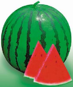 新育七號 新育七號