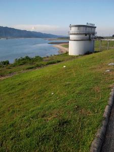 大塘鎮[廣東省蔬菜專業鎮]